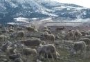 UPA: “La agricultura familiar debe ser la columna vertebral de cualquier política ambiental seria”