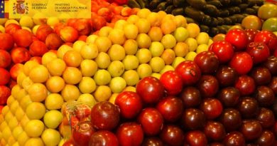 España solicita a la UE el envío de 347 millones de euros del régimen de ayudas de frutas y hortalizas para 2023