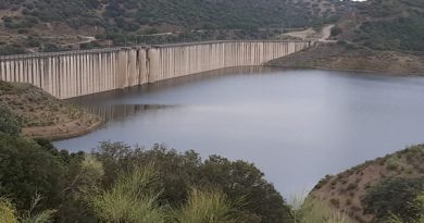 La CHG acuerda desembalsar un máximo de 50 hm³más para atender las necesidades de riego durante el mes de octubre