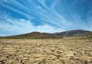 UPA Andalucía reclama a la Consejería de Agricultura medidas urgentes contra la sequía  extrema en las comarcas orientales de Andalucía