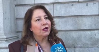 Andalucía afea al Ministerio que no haya llevado a la Sectorial las 43 medidas por la crisis del campo