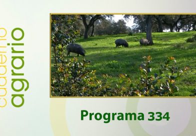 Cuaderno Agrario PGM 334