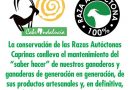 Cabrandalucía y sus razas de fomento estarán presentes en la Feria Agroganadera de Pozoblanco (Córdoba)