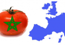 Asaja denuncia en Bruselas el apagón de datos del tomate marroquí