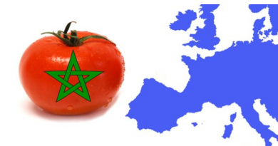 Asaja denuncia en Bruselas el apagón de datos del tomate marroquí Asaja denuncia en Bruselas el apagón de datos del tomate marroquí