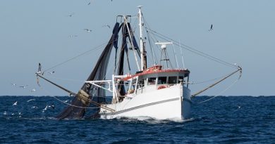 El Ministerio de Agricultura, Pesca y Alimentación y el sector pesquero acuerdan flexibilidades en el Reglamento de Control de la Pesca para facilitar su aplicación