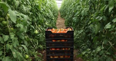 COAG Almería denuncia el retraso injustificado en la publicación de la orden de módulos en plena campaña de la renta