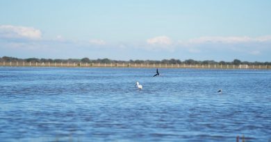 La Confederación Hidrográfica del Guadalquivir intensifica el sellado y precinto de captaciones ilegales en toda la cuenca La Confederación Hidrográfica del Guadalquivir intensifica el sellado y precinto de captaciones ilegales en toda la cuenca