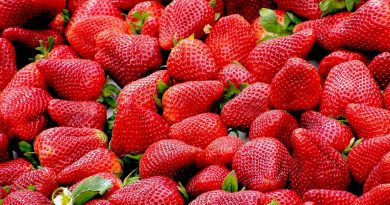 UPA Huelva denuncia especulación intolerable  de las grandes superficies con la fresa al vender  a pérdidas mientras arruinan al agricultor