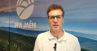 UPA Andalucía resalta que con el aforo de 1.080.900 toneladas de aceite de oliva, los precios en origen no pueden perder su tendencia al alza UPA Andalucía resalta que con el aforo de 1.080.900 toneladas de aceite de oliva, los precios en origen no pueden perder su tendencia al alza