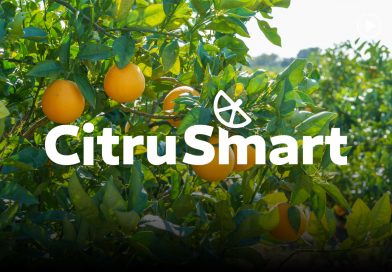 Monitorización de cítricos