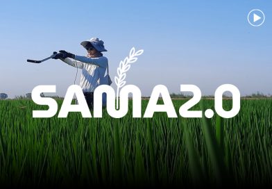 Monitorización del Arroz