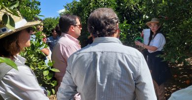 DemoFarm Andalucía estrena web para ampliar la difusión de las herramientas digitales al campo DemoFarm Andalucía estrena web para ampliar la difusión de las herramientas digitales al campo
