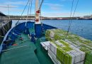 El Ministerio de Agricultura, Pesca y Alimentación convoca ayudas para la instalación de equipos de localización en buques pesqueros de entre 12 y 15 metros de eslora