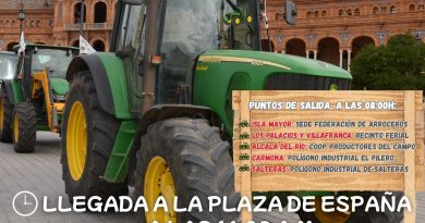 La manifestación en la Plaza de España de Sevilla se celebrará el 10 de febrero