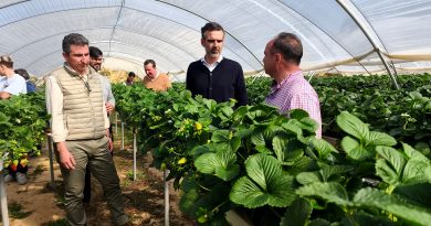 La provincia de Huelva exportó el 90% de los frutos rojos de Andalucía de enero a noviembre de 2025