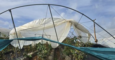 UPA Granada muestra su indignación y rechazo total al reparto de las ayudas por los temporales planteado por el Ministerio de Agricultura