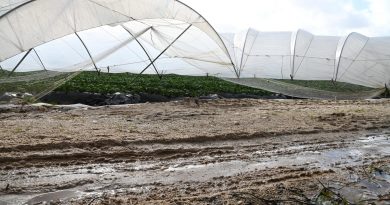 El Ministerio de Agricultura, Pesca y Alimentación abre el plazo para comunicar los daños causados por las borrascas en caminos agrarios y regadíos