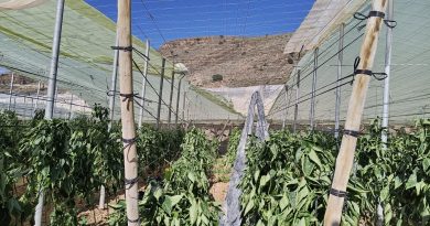 COAG Almería reclama que las medidas por los temporales prioricen a los afectados