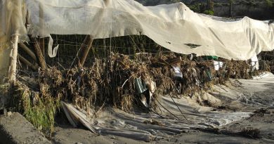 Cooperativas Agro-alimentarias de Andalucía pide la ampliación de las ayudas del Ministerio tras quedar fuera el 28% de los municipios andaluces afectados por el tren de borrascas