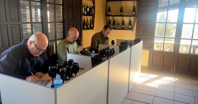 El Condado de Huelva califica la cosecha 2025 como “muy buena” pese a una campaña marcada por el mildiu