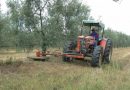 La Junta solicita al Gobierno una rectificación para que productores del olivar y hortícola puedan acogerse a la rebaja del IRPF