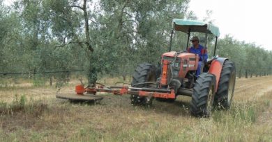 La Junta solicita al Gobierno una rectificación para que productores del olivar y hortícola puedan acogerse a la rebaja del IRPF