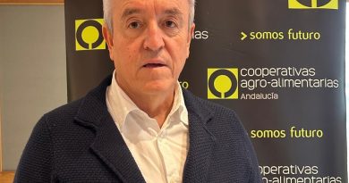 Menos ansiedad y más estrategia en el aceite de oliva