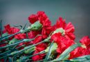Más de mil hectáreas andaluzas se dedican al cultivo de flor cortada y planta ornamental
