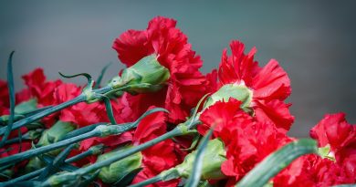 Más de mil hectáreas andaluzas se dedican al cultivo de flor cortada y planta ornamental
