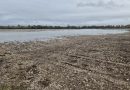 El Ministerio de Agricultura, Pesca y Alimentación publica el segundo listado con más de 27.000 beneficiarios de las ayudas directas por daños de las borrascas
