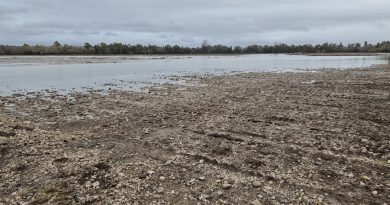 El Ministerio de Agricultura, Pesca y Alimentación publica el segundo listado con más de 27.000 beneficiarios de las ayudas directas por daños de las borrascas