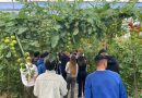 El IFAPA desarrolla durante 2026 un amplio calendario de cursos en Producción Integrada en Andalucía