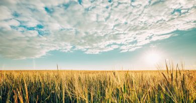 ASAJA Córdoba advierte de los riesgos del calor durante la campaña de cosecha y pide extremar la prevención en el campo