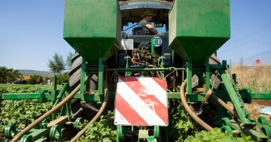 La Junta resuelve todas las solicitudes de ayudas de jóvenes agricultores en Andalucía La Junta resuelve todas las solicitudes de ayudas de jóvenes agricultores en Andalucía