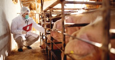 El plazo para solicitar ayudas por 3,2M€ para asesoramiento en sanidad y bienestar animal finaliza el 27 de julio