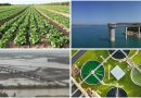 CREA Andalucía reclama un nuevo modelo de gestión para el Guadalete-Barbate que garantice el agua para el regadío frente a futuras sequías