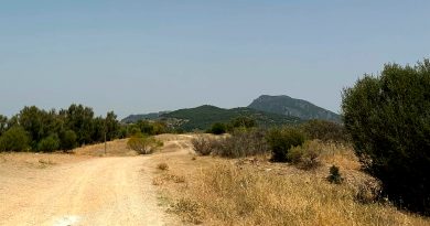 La Junta tramita el aprovechamiento ganadero de áreas de pasto de Ubrique, en la provincia de Cádiz