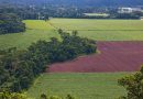 Más de 563.000 agricultores y ganaderos presentan la solicitud única de la PAC para la campaña 2026