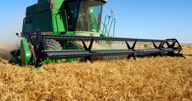 El Ministerio de Agricultura, Pesca y Alimentación autoriza el pago de 85 millones adicionales de ayudas de la PAC de remanentes disponibles