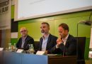 El aforo del olivar estima para la campaña 2026/27 una producción de 1.261.200 toneladas de aceite de oliva en Andalucía