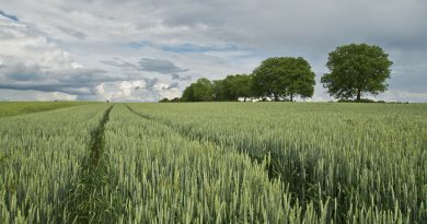 El Ministerio de Agricultura, Pesca y Alimentación publica el segundo listado provisional de beneficiarios de las ayudas a los fertilizantes por unos 10 millones de euros