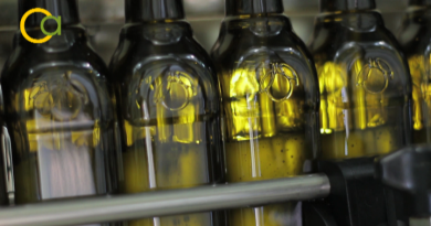 COAG Andalucía critica que Planas diga que se controla el aceite que entra en la UE mientras el Tribunal de Cuentas Europeo afirma lo contrario