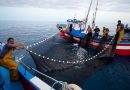 España valora la buena evolución de los recursos pesqueros que gestiona la Unión Europea