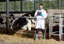 La Conferencia Sectorial de Agricultura y Desarrollo Rural aprueba la distribución territorial de 7,4 millones de euros de fondos del Estado para sanidad animal