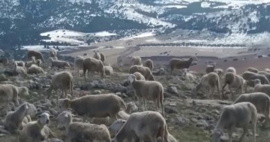 COAG Andalucía destaca la importancia de la Estrategia Andaluza de la Ganadería Extensiva para el futuro del medio rural andaluz