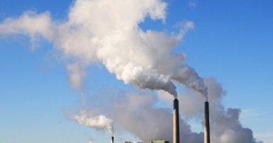 VÍDEO: Aumento de la competitividad de las cooperativas agrarias mediante la mejora de la sostenibilidad ambiental