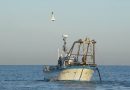 La Junta apoya al sector y califica de injusto el Acto Delegado del comisario europeo que veda a pesquerías de artes de fondo en el Golfo de Cádiz