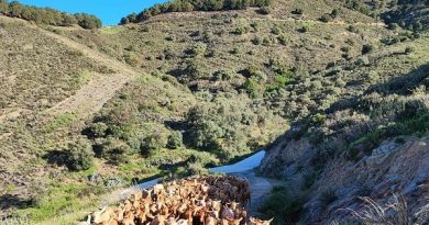 Antequera recibirá a lo más destacado del sector caprino español en el  XV Foro Nacional del Caprino