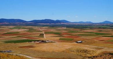 El BOJA publica la convocatoria de subvenciones 2026 para organizaciones agrarias, pesqueras y de desarrollo rural El BOJA publica la convocatoria de subvenciones 2026 para organizaciones agrarias, pesqueras y de desarrollo rural